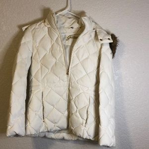Winter Jacket